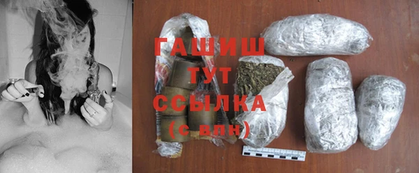 МДПВ Бородино