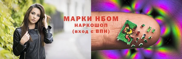 МДПВ Бородино