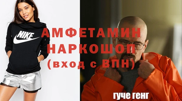 МДПВ Бородино