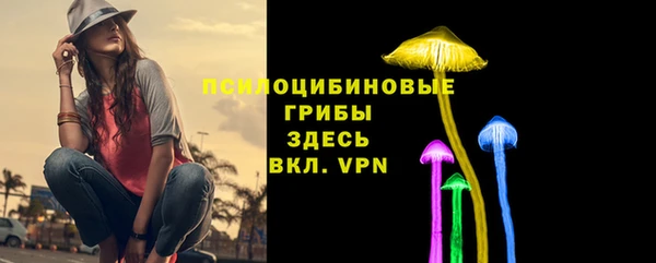 меф Осинники