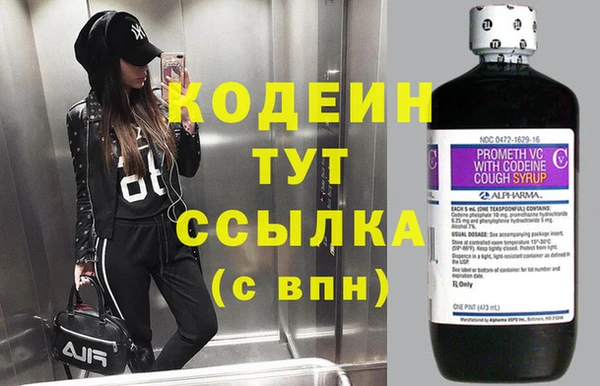 МДПВ Бородино