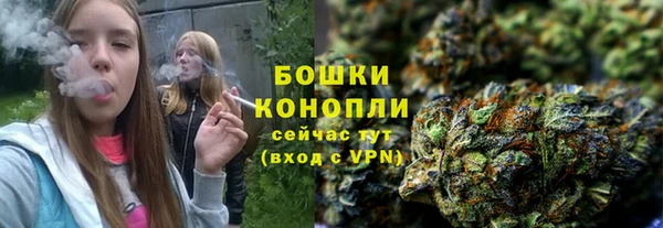 МДПВ Бородино